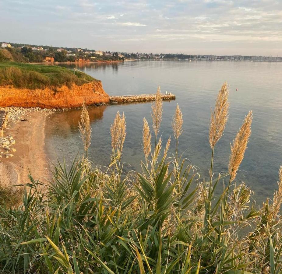 Mobile Homes Kamp Maslina, Biograd Na Moru Buitenkant foto