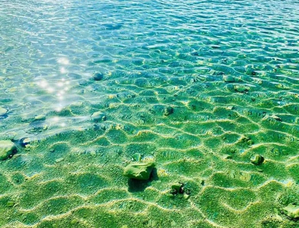 Mobile Homes Kamp Maslina, Biograd Na Moru Buitenkant foto