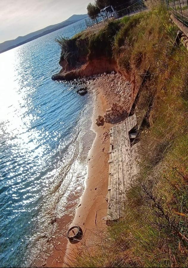 Mobile Homes Kamp Maslina, Biograd Na Moru Buitenkant foto