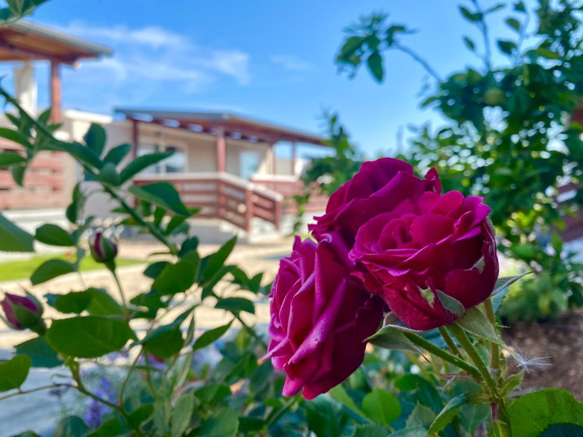 Mobile Homes Kamp Maslina, Biograd Na Moru Buitenkant foto