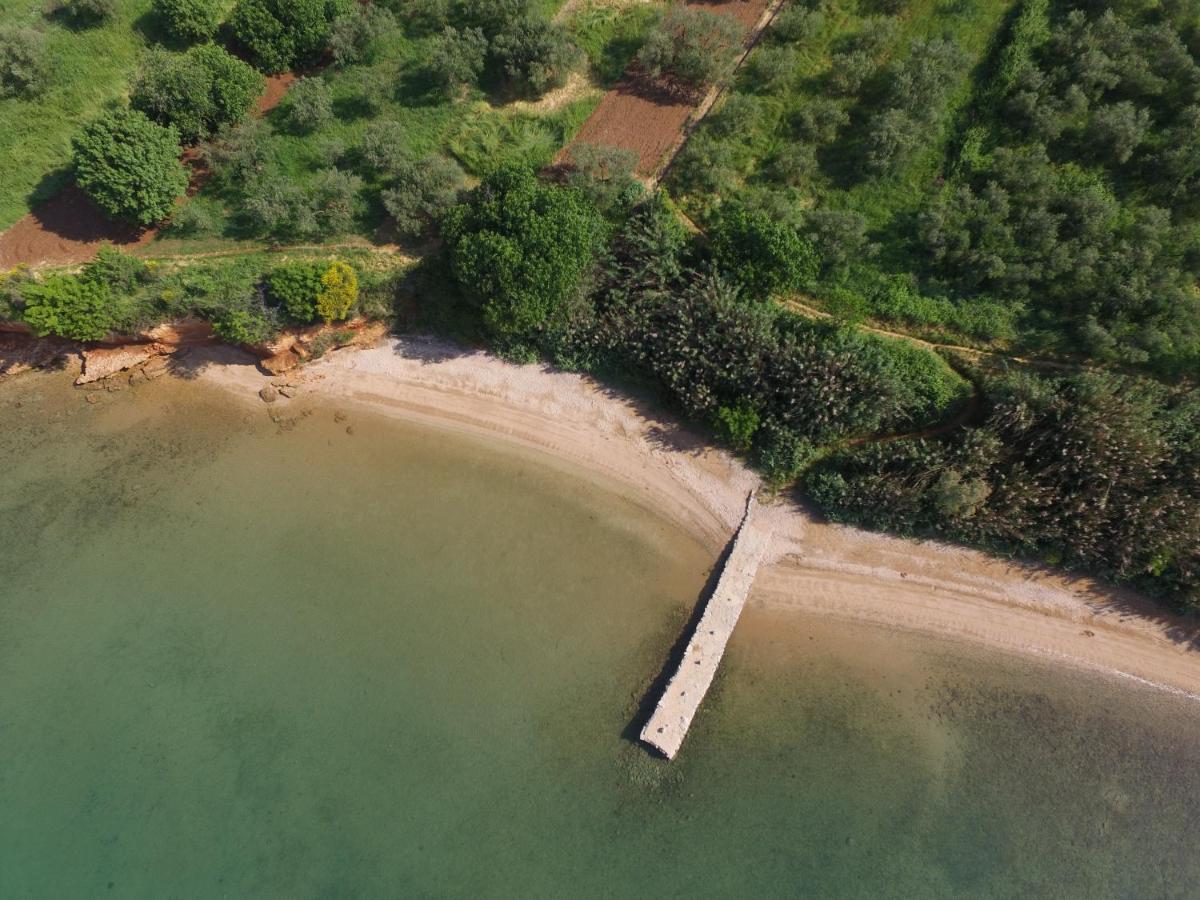 Mobile Homes Kamp Maslina, Biograd Na Moru Buitenkant foto